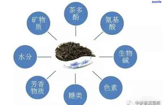 茶水中含有哪些成分-茶水里含有什么成分