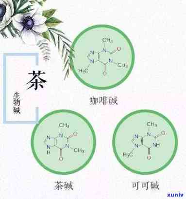 茶里边含有什么成分让人睡不着觉，揭秘：茶中的哪些成分会让你失眠？