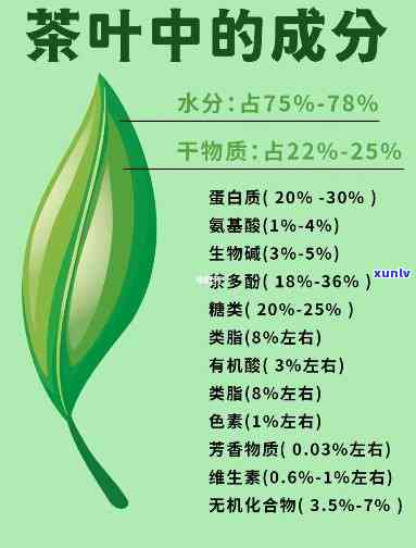 茶里边含有什么成分较好？探讨茶叶中的营养元素及其口感影响