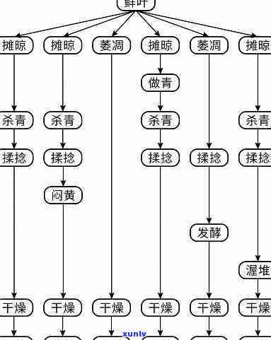 如何区分茶的等级、种类及品质？