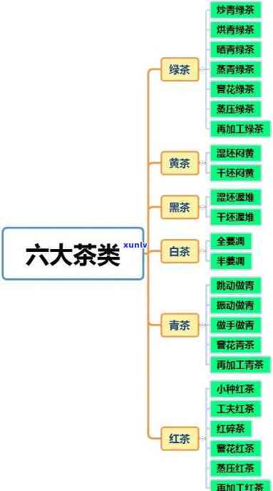 茶的区分依据，茶的分类：揭秘茶的区分依据
