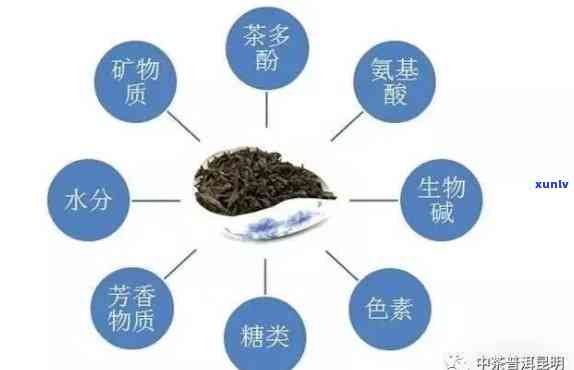 茶水里含有什么成分-茶水里含有什么成分不能喝