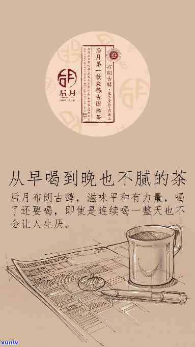 喝茶没有高低贵贱：品茗无分等级，共享茶韵人生