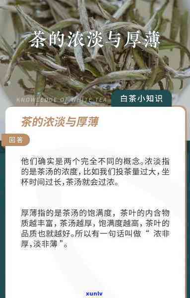 淡茶浓茶是什么意思？解释茶叶口感差异与泡法技巧