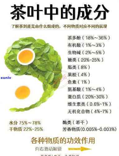 各种茶的主要成分有哪些？详解茶叶中的营养素与功效