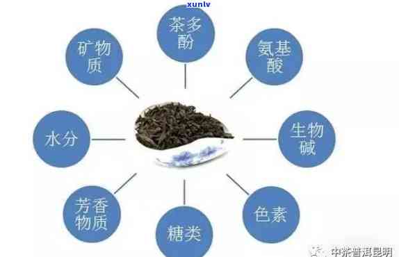 各种茶含有主要成分-各种茶含有主要成分是什么