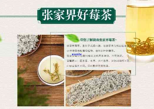 张家界茶叶品种莓茶的功效、口感及评价