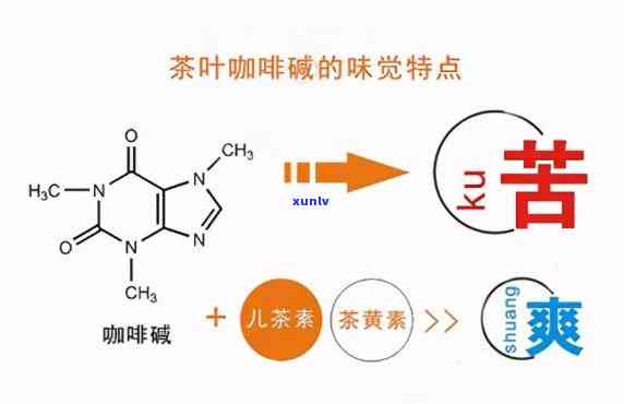 茶含有 *** 吗，茶叶中是否含 *** ？探讨其成分与影响