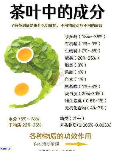 茶水的营养成分表格图：详细解析茶叶中的营养元素