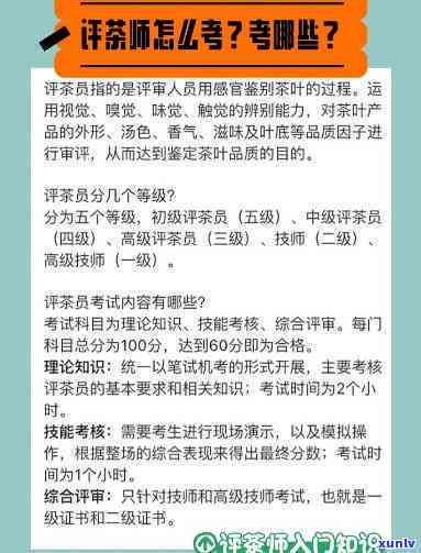 评茶师分几个级别，探究评茶师的等级划分：从入门到专家，一文看懂