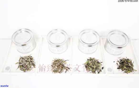 评茶师分为几个等级-评茶师分为几个等级别