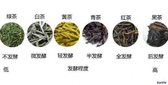 同一款茶怎样分等级-同一款茶叶不同价位有什么不同