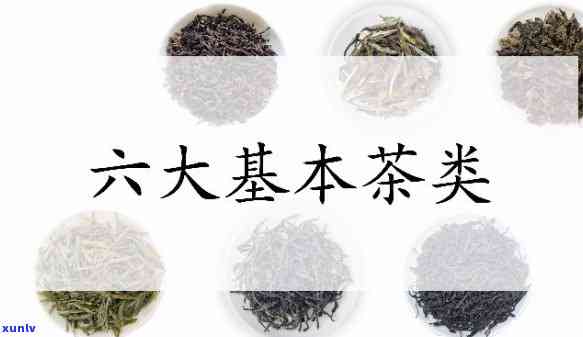 新冰岛熟普洱茶的特点、 *** 工艺及品饮 *** 全面解析