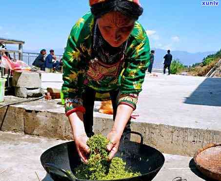 彝族茶文化分布情况-彝族茶文化分布情况介绍