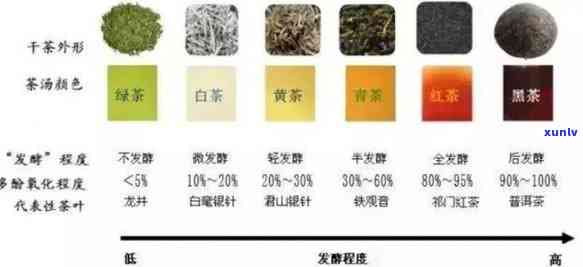 什么样的茶属于红茶还是绿茶，红茶或绿茶？如何辨别茶叶的种类