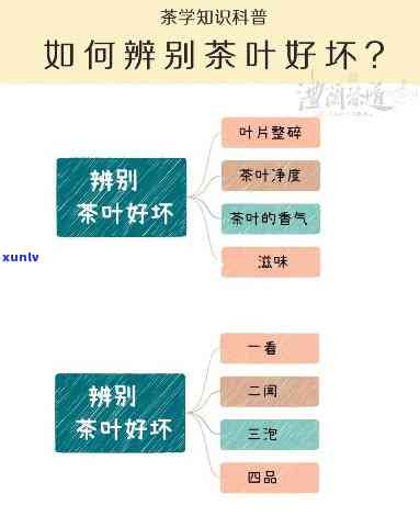 都有哪些茶属于红茶还是绿茶，红茶or绿茶？详解各类茶叶的归属