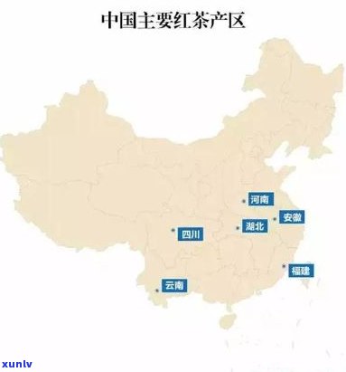 中国红茶与印度红茶：口感、品质、产地全面比较