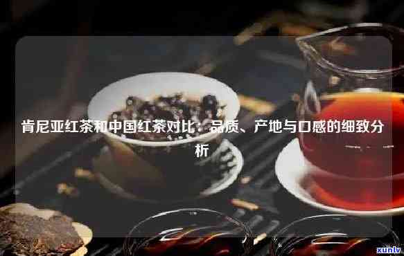 中国红茶与印度红茶：口感、品质、产地全面比较