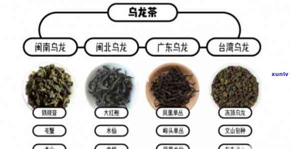 以下哪种茶属于红茶：乌龙茶、绿茶还是白茶？