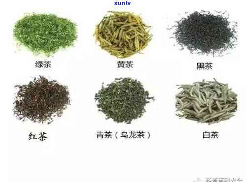 以下哪种茶属于红茶：乌龙茶、绿茶还是白茶？