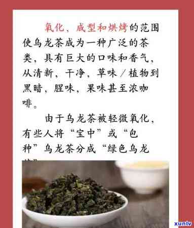 以下哪种茶属于红茶：乌龙茶、绿茶还是白茶？