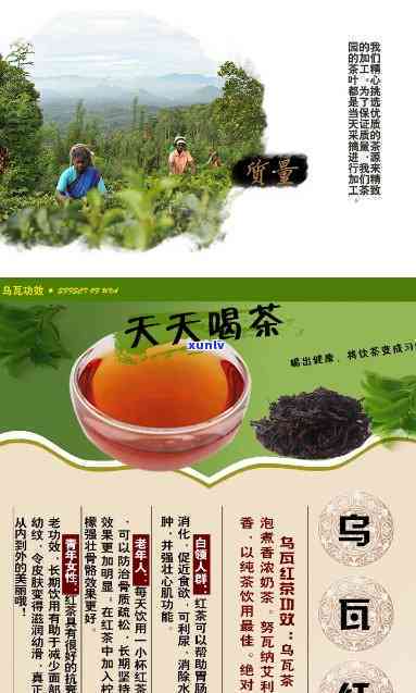 乌瓦红茶和锡兰红茶哪个好，比较一下：乌瓦红茶和锡兰红茶，哪一个更好？