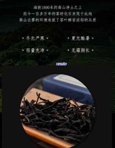 重庆黑山红茶简介，重庆黑山红茶，来自世界自然与文化双遗产地的高山红茶