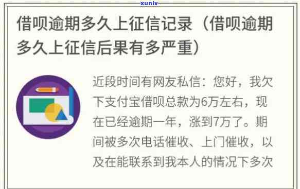 老军垦是什么：照片、茶叶、故事和普洱茶的完整体验