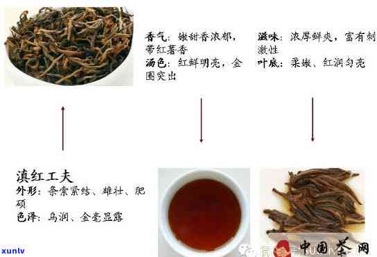 国外知名红茶：与种类全面解析