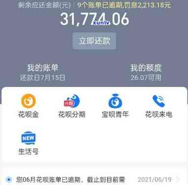 支付宝花呗逾期80天怎么办，支付宝花呗逾期80天，怎样解决？