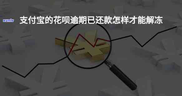 信用卡逾期未还款，银行报警后可能的后果及应对措是什么？