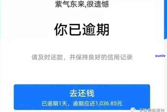 翡翠镶嵌大全：款式图片欣赏与介绍