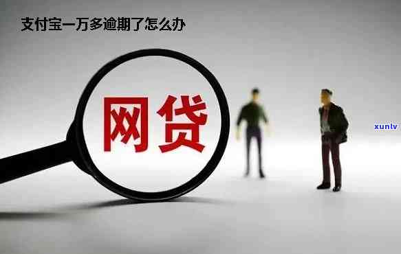 支付宝网商贷逾期90天会有什么结果，逾期90天：支付宝网商贷可能带来的严重结果