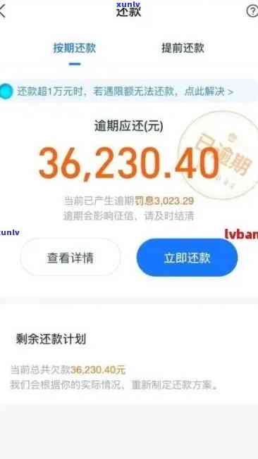 支付宝网商贷逾期35天会怎样，【警示】支付宝网商贷逾期35天的结果严重，你必须知道！