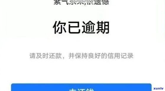 支付宝网商贷逾期35天会怎样，【警示】支付宝网商贷逾期35天的结果严重，你必须知道！