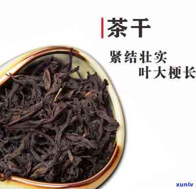 莱芜老干烘：是什么茶？有何功效？