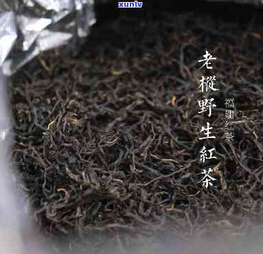 老枞红茶价格：多少钱一斤才合适？