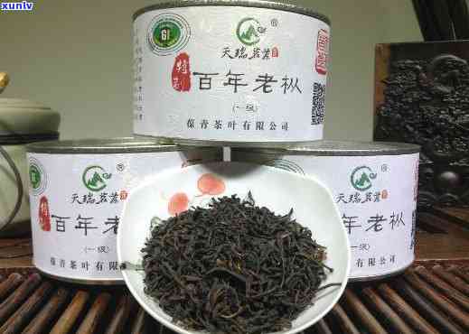 老枞红茶简介：百年老枞，高档茶叶种类