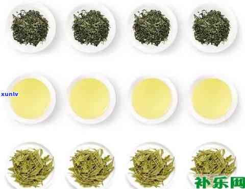 高山美人茶是红茶吗还是绿茶，高山美人茶：红茶还是绿茶？探讨其分类与特点