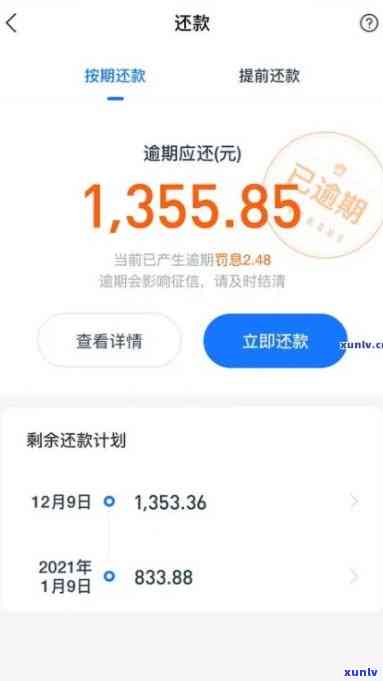 支付宝网商贷逾期了一天上吗，关于网商贷逾期一天是不是上的疑问