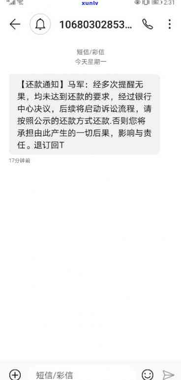 支付宝网商贷逾期60天：影响及处罚全解析