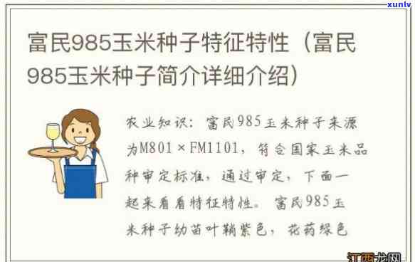 深入了解富民玉米种子：介绍视频与图片全览