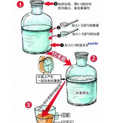 酵素与红茶菌的区别，深度解析：酵素和红茶菌的不同之处