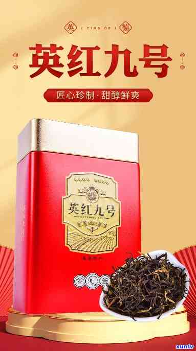 英雄9号茶叶是红茶还是绿茶，揭示真相：英雄9号茶叶是红茶还是绿茶？