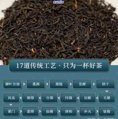 红茶买什么牌子正宗好喝？全面解析茶叶与口感