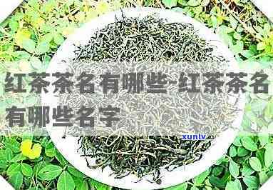 精选的女孩红茶名字推荐：红茶取什么名字好啊女孩？