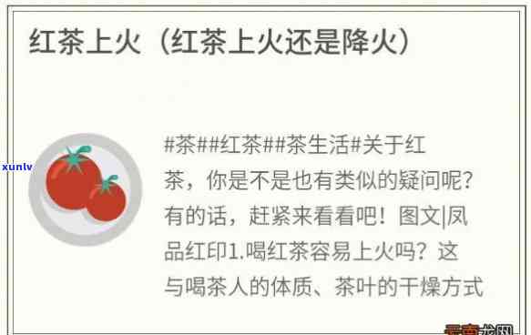 劲海之春普洱茶饼价格大全：了解各种规格和购买渠道的费用信息