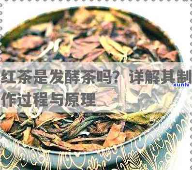 红茶都是发酵茶吗为什么，红茶是否都是发酵茶？原因解析