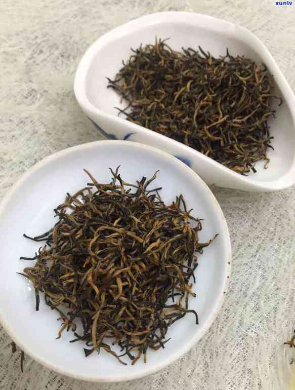 蜜香红茶推荐：品种与全面解析