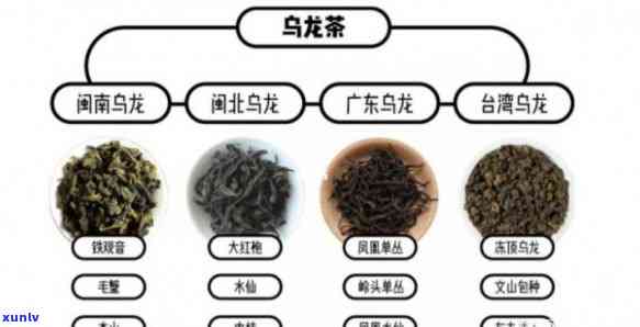 请问哪些茶属于红茶呢？绿茶、乌龙茶、白茶等都与红茶有何不同？